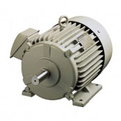 인버터구동전용모터 FV시리즈