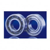 내식피막베어링(니켈피막)