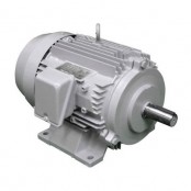 토시바 모터(전폐외선형)