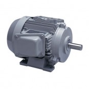 토시바 옥외형모터(전폐외선형)