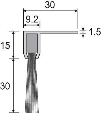 바스트립브러시 F-TYPE
