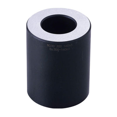 BJ300 표준서포터