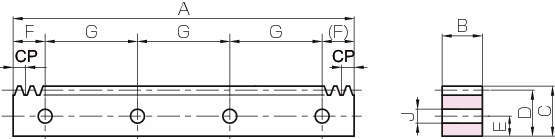 SRCPFD·SRCPFK CP 랙기어(J시리즈)