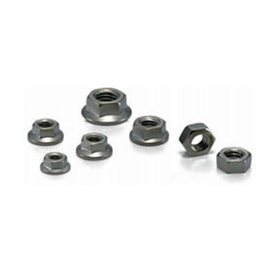SHNT 티탄육각너트