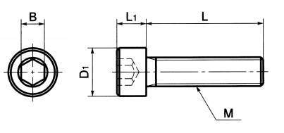 SNSH-C22 하스텔로이육각렌치볼트