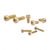 SNSS-AUS 육각렌치볼트(金코팅)