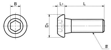 SNBS 육각렌치버튼볼트(인치나사)