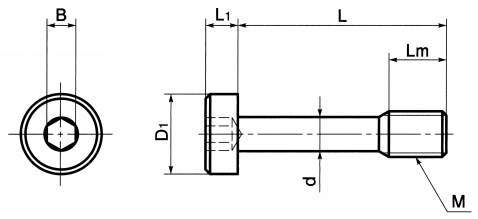 SSCLS 육각렌치저두캡나사
