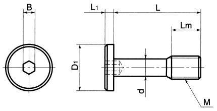 SSCHS 육각렌치극저두캡나사