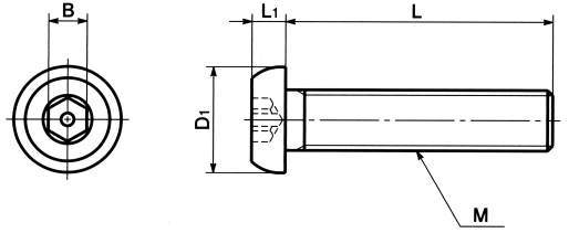 SRHS 육각렌치버튼볼트(핀붙이)