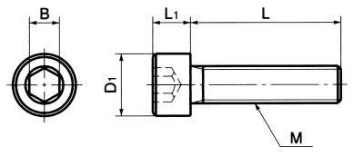 SPE-FT 수지나사(PEEK/육각렌치볼트전체나사)