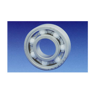 고내식·비자성스테인레스ESA베어링