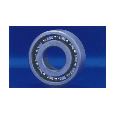 고내식전체세라믹베어링(탄화물계세라믹)