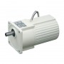 기어모터 미니시리즈(단상100V)