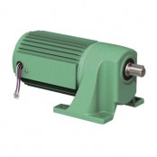 기어모터 TS시리즈(단상100V)