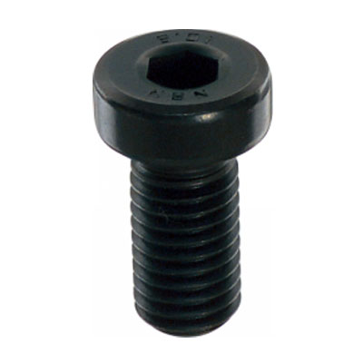 CBMBL 저두육각구멍붙이볼트